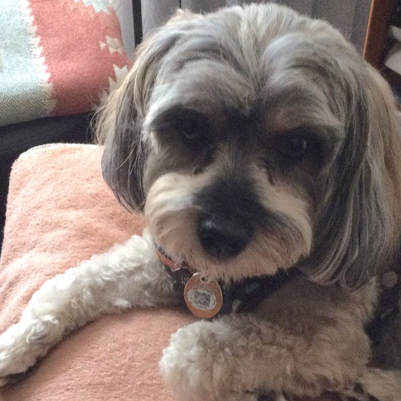 male Other - LOUIE SAYS LOOK THROUGH THE CLOSET.LOTS OF GOODIES.